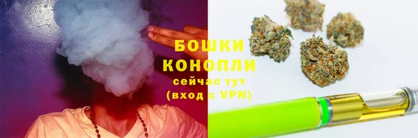 первитин Ладушкин