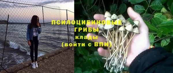 соль ск Лабытнанги