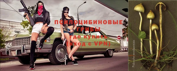 apvp Лиски