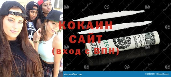 сатива Кукмор
