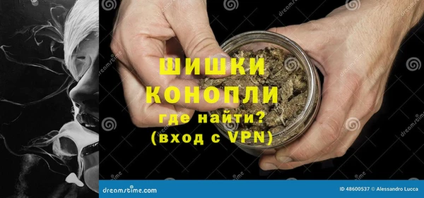 сатива Кукмор