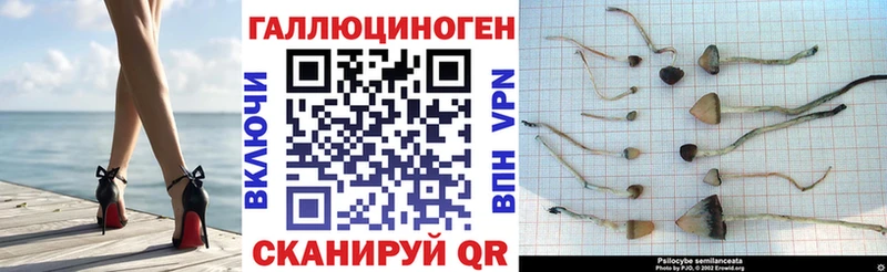 Псилоцибиновые грибы Magic Shrooms  Купить где  Арсеньев 